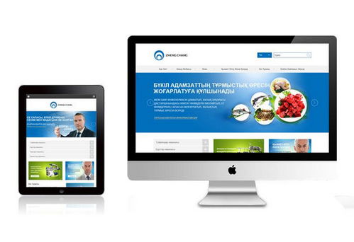 廣州網(wǎng)絡(luò)公司 網(wǎng)站改版與網(wǎng)頁設(shè)計(jì)開發(fā)服務(wù)詳解